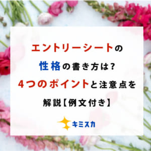 エントリーシートの性格の書き方は？4つのポイントと注意点を解説【例文付き】